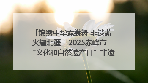 锦绣中华霓裳舞 非遗薪火耀北疆—2025赤峰市“文化和自然遗产日”非遗宣传展示活动纪实