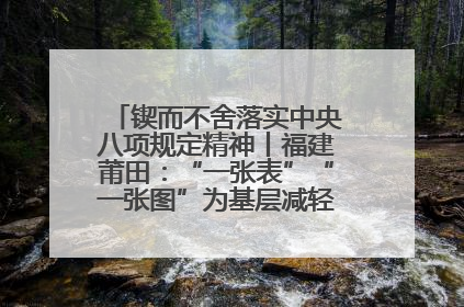 锲而不舍落实中央八项规定精神丨福建莆田：“一张表”“一张图”为基层减轻“数字负担”