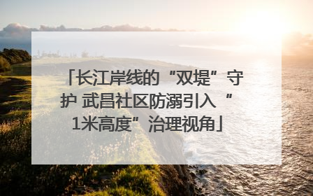 长江岸线的“双堤”守护 武昌社区防溺引入“1米高度”治理视角