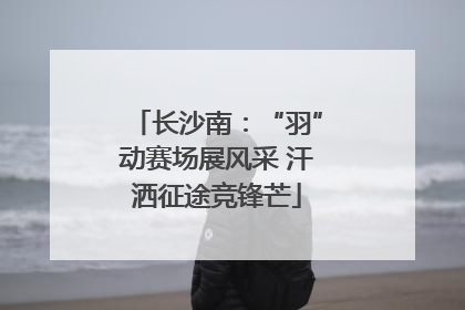 长沙南：“羽”动赛场展风采 汗洒征途竞锋芒