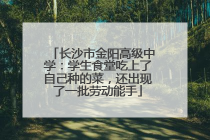 长沙市金阳高级中学：学生食堂吃上了自己种的菜，还出现了一批劳动能手