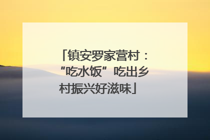 镇安罗家营村：“吃水饭”吃出乡村振兴好滋味