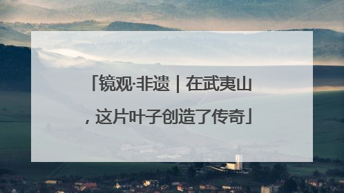 镜观·非遗｜在武夷山，这片叶子创造了传奇