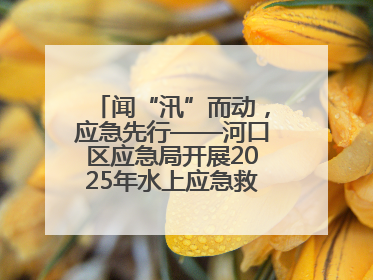 闻“汛”而动，应急先行——河口区应急局开展2025年水上应急救援实战演练