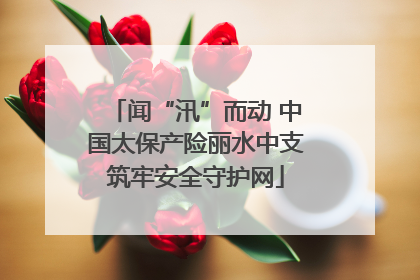 闻“汛”而动 中国太保产险丽水中支筑牢安全守护网