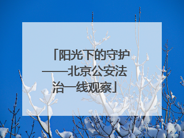 阳光下的守护——北京公安法治一线观察