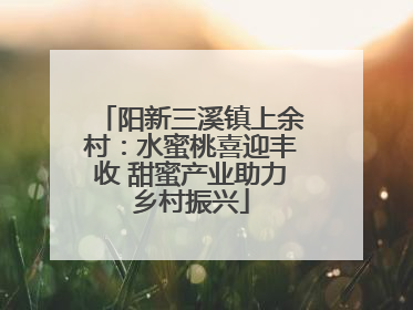 阳新三溪镇上余村：水蜜桃喜迎丰收 甜蜜产业助力乡村振兴