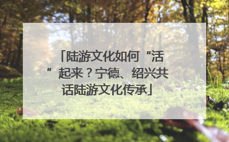 陆游文化如何“活 ”起来？宁德、绍兴共话陆游文化传承