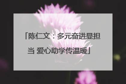 陈仁文：多元奋进显担当 爱心助学传温暖