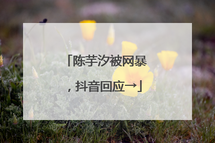 陈芋汐被网暴，抖音回应→