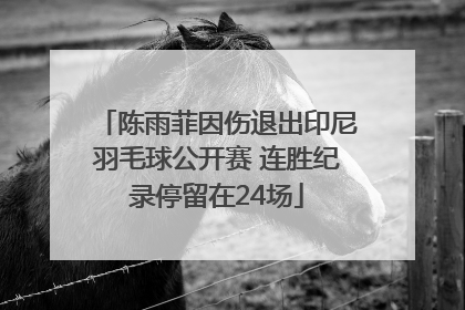 陈雨菲因伤退出印尼羽毛球公开赛 连胜纪录停留在24场