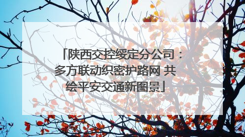 陕西交控绥定分公司：多方联动织密护路网 共绘平安交通新图景