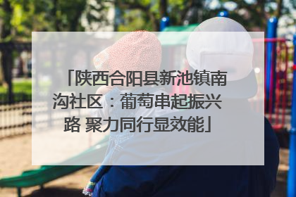 陕西合阳县新池镇南沟社区：葡萄串起振兴路 聚力同行显效能
