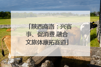 陕西商洛：兴赛事、促消费 融合文旅体康拓赛道