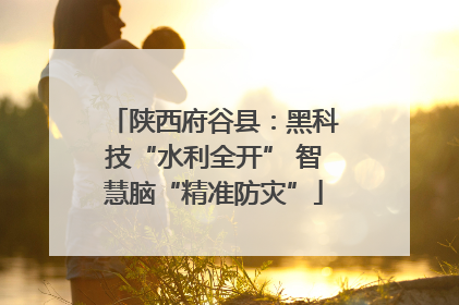 陕西府谷县：黑科技“水利全开” 智慧脑“精准防灾”