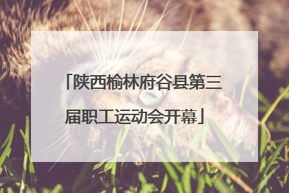 陕西榆林府谷县第三届职工运动会开幕