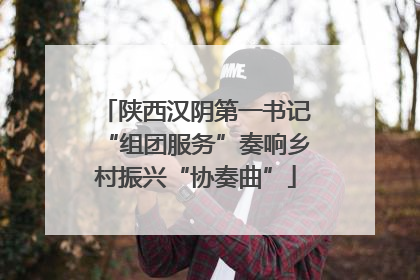 陕西汉阴第一书记“组团服务”奏响乡村振兴“协奏曲”