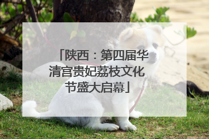 陕西：第四届华清宫贵妃荔枝文化节盛大启幕