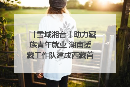 雪域湘音丨助力藏族青年就业 湖南援藏工作队建成西藏首个清洁能源装备园