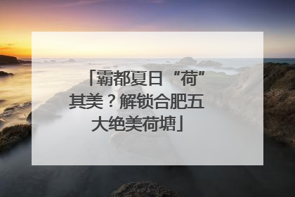 霸都夏日“荷”其美？解锁合肥五大绝美荷塘