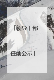 领导干部任前公示