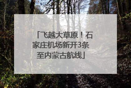 飞越大草原！石家庄机场新开3条至内蒙古航线