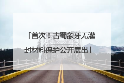 首次！古蜀象牙无灌封材料保护公开展出