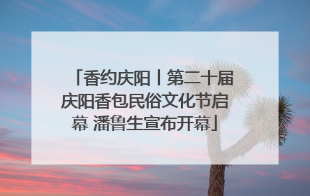 香约庆阳丨第二十届庆阳香包民俗文化节启幕 潘鲁生宣布开幕
