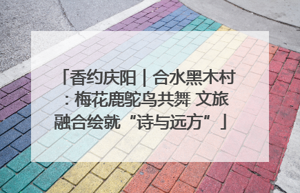 香约庆阳｜合水黑木村：梅花鹿鸵鸟共舞 文旅融合绘就“诗与远方”