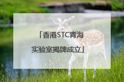 香港STC青海实验室揭牌成立