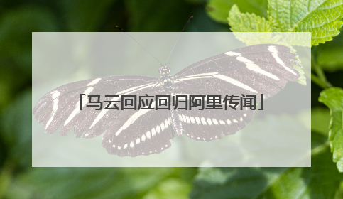 马云回应回归阿里传闻