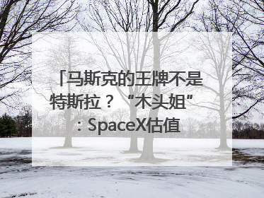 马斯克的王牌不是特斯拉？“木头姐”：SpaceX估值五年后可达2.5万亿美元！