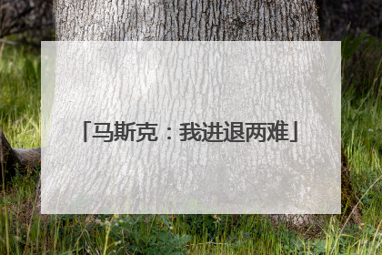 马斯克：我进退两难