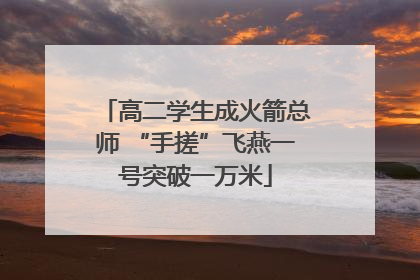 高二学生成火箭总师 “手搓”飞燕一号突破一万米