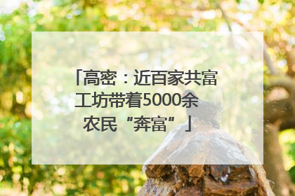 高密：近百家共富工坊带着5000余农民“奔富”
