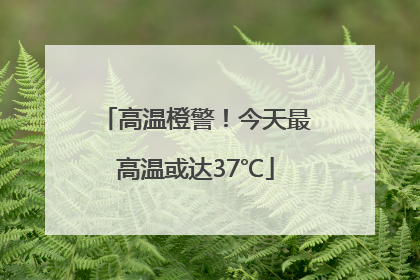 高温橙警！今天最高温或达37℃