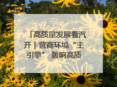 高质量发展看汽开｜营商环境“主引擎” 轰响高质量发展新赛道