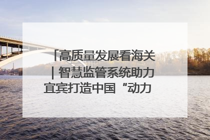 高质量发展看海关｜智慧监管系统助力宜宾打造中国“动力电池之都”