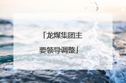 龙煤集团主要领导调整