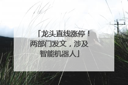 龙头直线涨停！两部门发文，涉及智能机器人