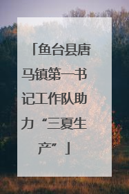 鱼台县唐马镇第一书记工作队助力“三夏生产”