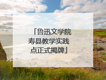 鲁迅文学院寿县教学实践点正式揭牌