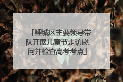 鲤城区主要领导带队开展儿童节走访慰问并检查高考考点