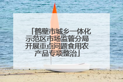 鹤壁市城乡一体化示范区市场监管分局开展重点问题食用农产品专项整治