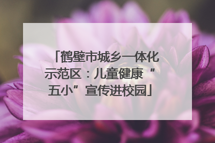 鹤壁市城乡一体化示范区：儿童健康“五小”宣传进校园
