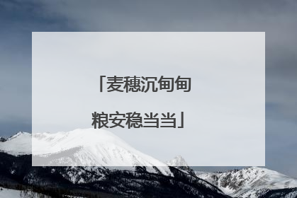 麦穗沉甸甸 粮安稳当当