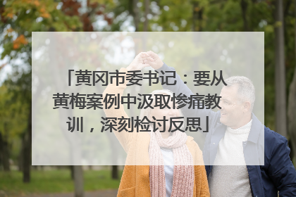 黄冈市委书记：要从黄梅案例中汲取惨痛教训，深刻检讨反思