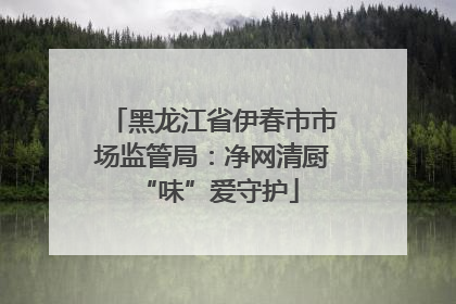 黑龙江省伊春市市场监管局：净网清厨 “味”爱守护