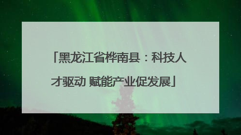 黑龙江省桦南县：科技人才驱动 赋能产业促发展