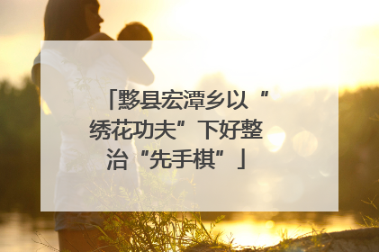 黟县宏潭乡以“绣花功夫”下好整治“先手棋”